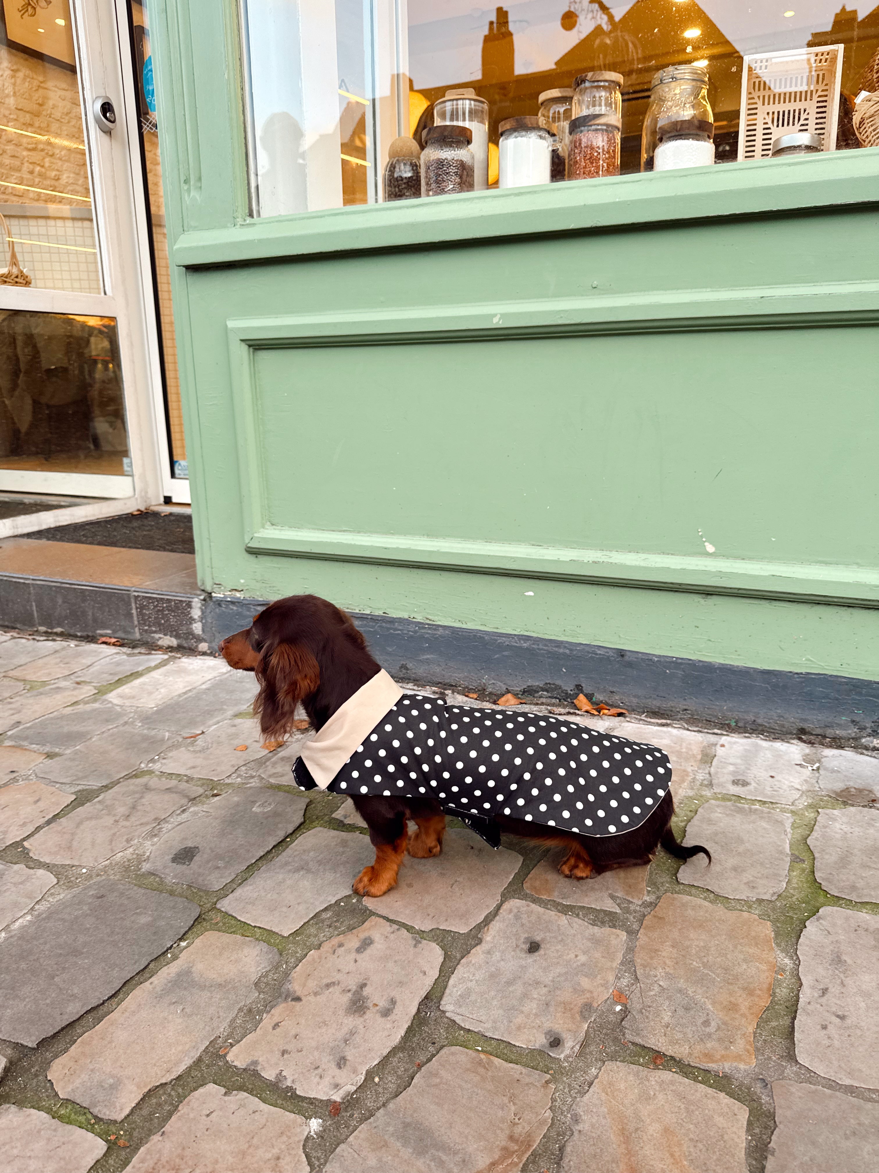 Trench Teckel Impermeable et reversible