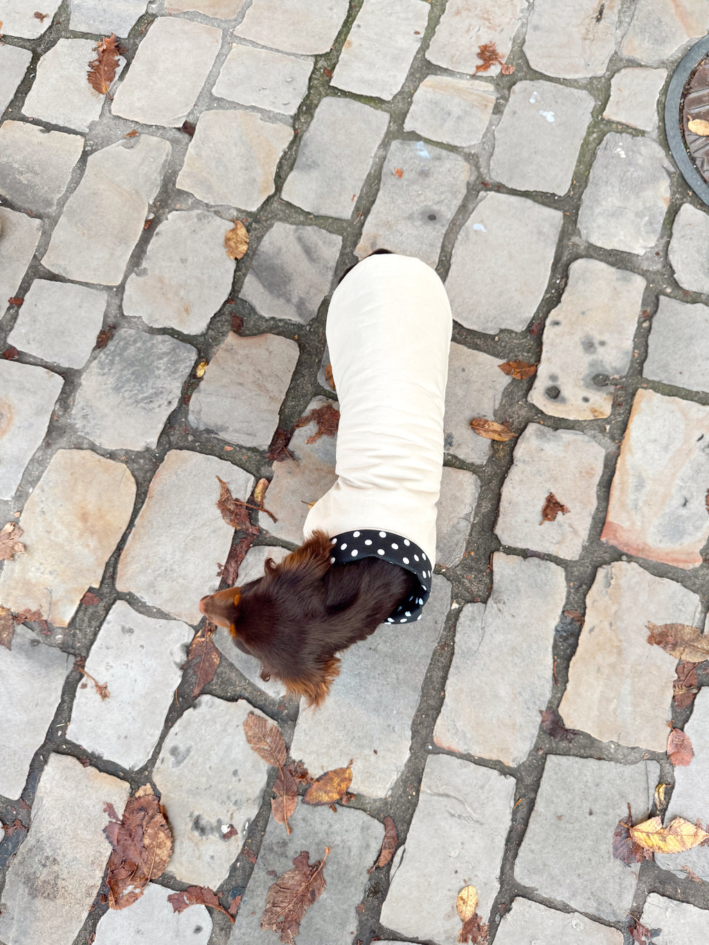 Trench Teckel Impermeable et reversible