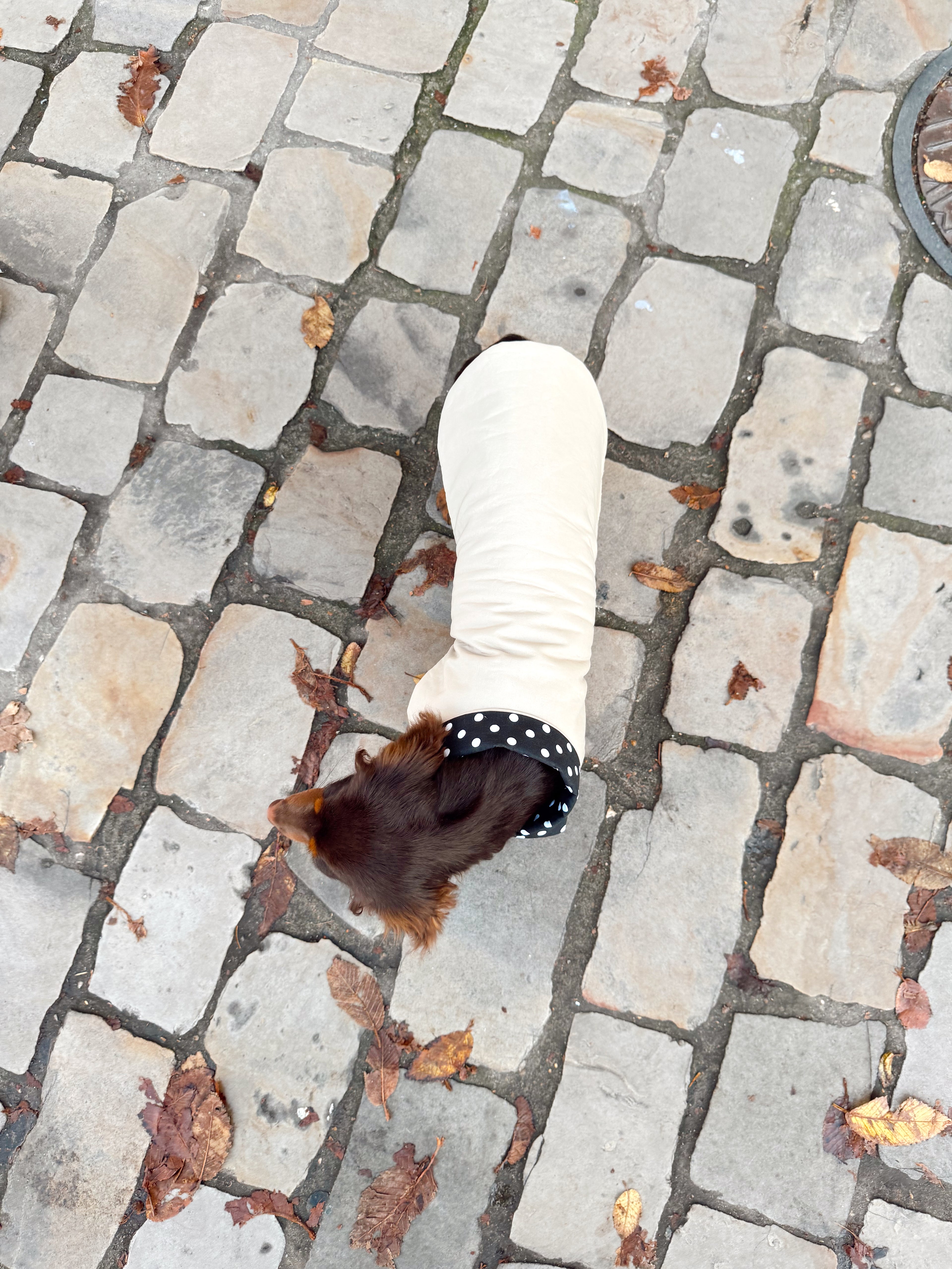 Trench Teckel Impermeable et reversible